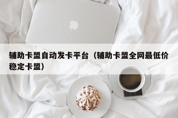和平精英自动发卡网-辅助卡盟自动发卡平台